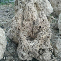 Natural Absorbent Stone for Miniature Landscapes and Garden Decor