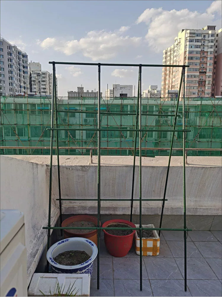 Plant Support Stakes for Climbing Vines, Garden Trellis for Vegetables and Flowers, Heavy Duty Steel Plant Cages