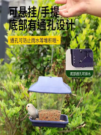 Outdoor Hanging Bird Feeder with Rainproof Design and Large Capacity