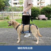 Dog Rear Leg Support Harness for Injured & Senior Dogs, Rehabilitation Aid Vest