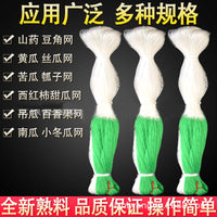 Green Garden Trellis Netting for Climbing Plants, Cucumber, Loofah, Chrysanthemum Support, Windproof and Anti-Lodging Net