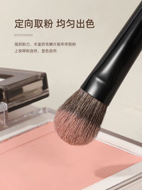 WJTT 3-6 Pcs Eye Makeup Brush Set for Eyeshadow, Blending, and Highlighting