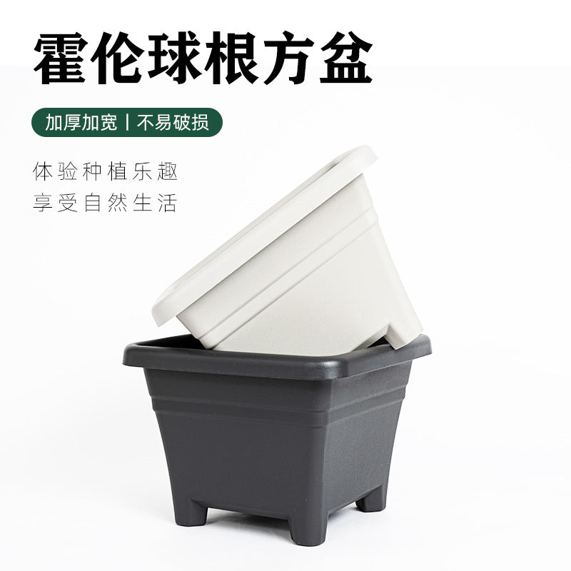 Universal Plastic Square Bulb Planter for Hyacinths, Lilies, and Oxalis