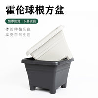 Universal Plastic Square Bulb Planter for Hyacinths, Lilies, and Oxalis