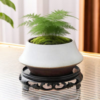 Moss Ball Planter Ceramic Hydroponic Pot for Bamboo and Office Decor