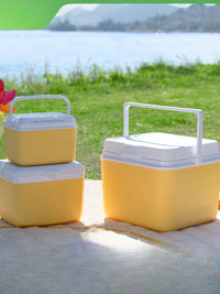 Portable Insulated Cooler Box with Ice Packs for Outdoor Camping Fishing Car Travel