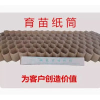 Biodegradable Seedling Nursery Paper Pots for Plant Propagation