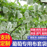 Non-Woven Fruit Protection Bags for Orchards, Anti-Bird, Dust-Proof, Insect-Proof, Breathable