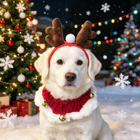 Christmas Reindeer Antler Headband with Bell Collar for Pets