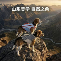 Summer Cooling Pet Vest for Small to Medium Dogs and Cats, Sun Protection Color Block Design