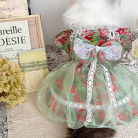 Handmade Pet Princess Dress with Floral Design for Cats and Dogs, Red and Green