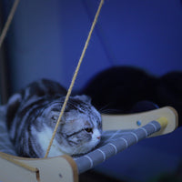 Suction Cup Cat Hammock Window Perch for Sunbathing