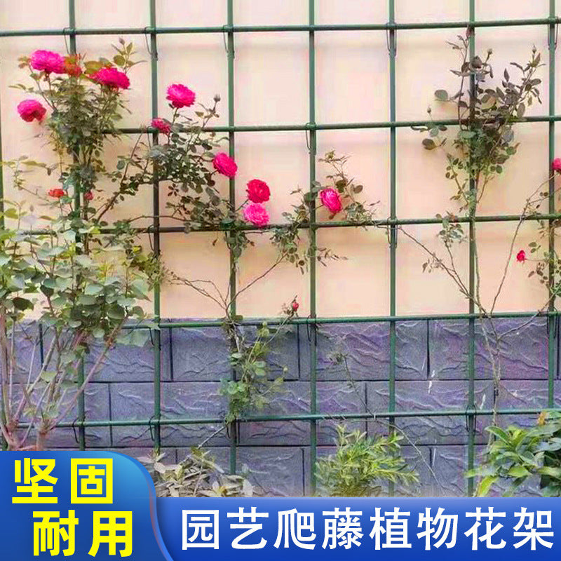 Garden Plant Trellis Netting Support Frame for Climbing Plants, Roses, and Vines