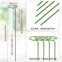 Plant Support Stakes for Potted Flowers and Shrubs, Rust-Resistant Coated Iron Garden Supports