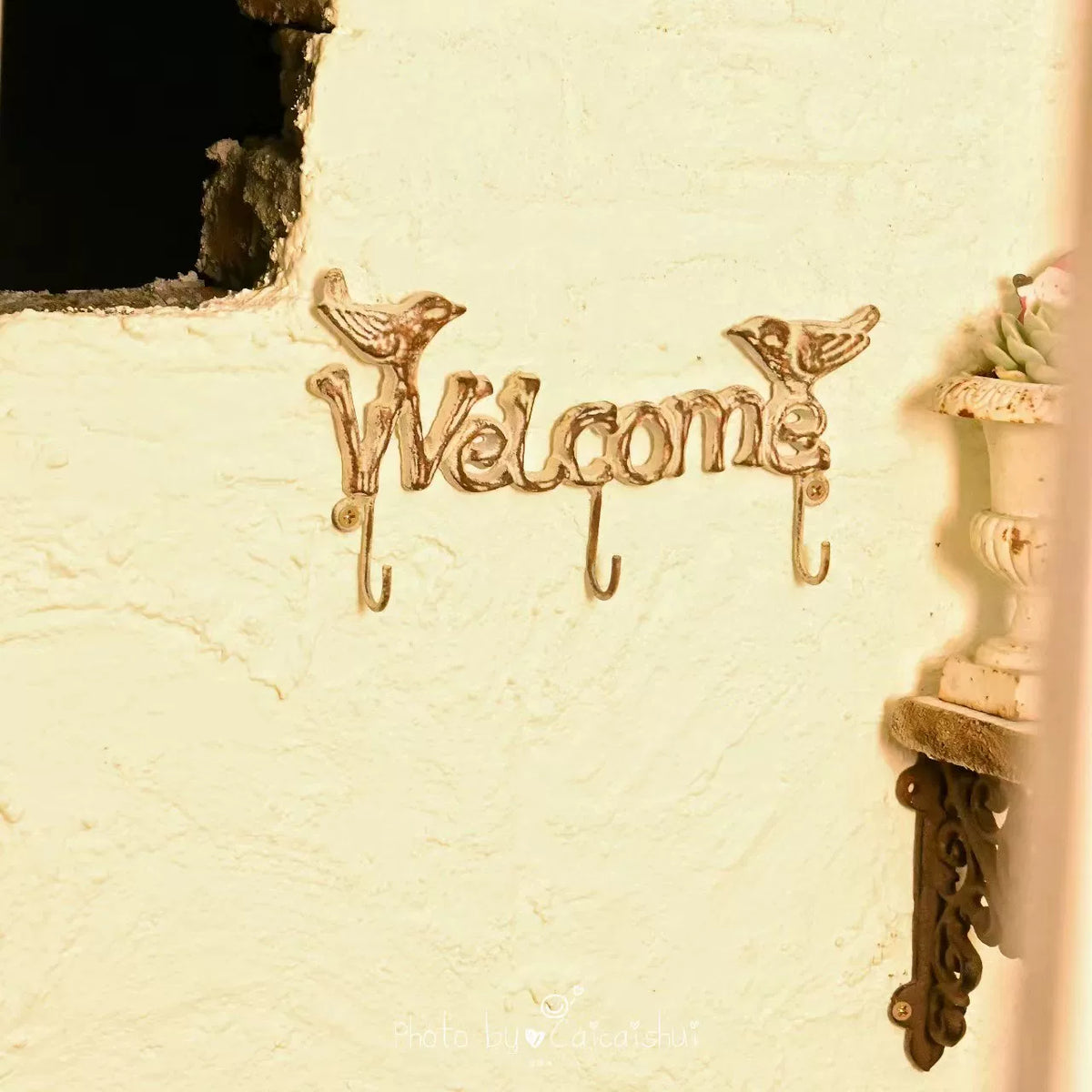Cast Iron Welcome Bird Wall Hook for Garden & Home Decor