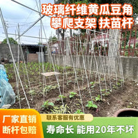 Plant Support Stakes for Climbing Vegetables and Fruits, Garden Trellis for Cucumber, Tomato, Bean, Loofah, Grape