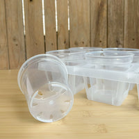 3-inch 6-Cell Clear Plastic Round Orchid Pot with Tray for Seedling Propagation