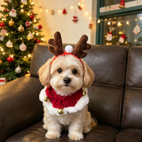 Christmas Reindeer Antler Headband with Bell Collar for Pets