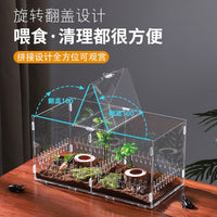 Acrylic Reptile Breeding Box Transparent Terrarium for Insects and Small Pets