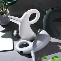 Long Spout Watering Can for Indoor Plants & Gardening