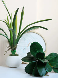 Artificial Hyacinth Flower with Realistic Leaves for Indoor Floral Arrangements and Decor