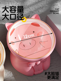 Ceramic Elevated Cat Bowl with Tilted Design for Food and Water, Anti-Vomit Pet Feeder