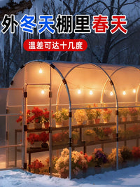 Tiered Garden Greenhouse with Steel Frame and Cover for Plants, Seedlings, and Home Growing
