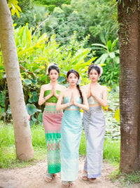 Xishuangbanna Dai Ethnic Style Dress Thai Inspired Costume for Women