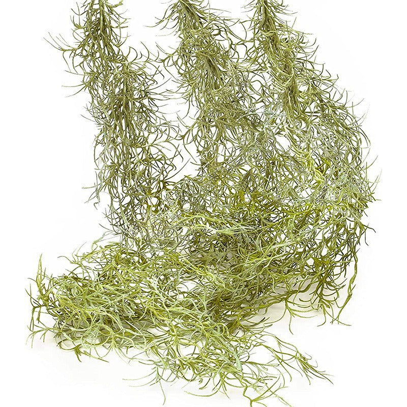 Artificial Air Plant Wall Hanging Decor for Indoor Backgrounds