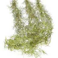 Artificial Air Plant Wall Hanging Decor for Indoor Backgrounds