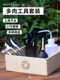 Succulent Plant Gardening Tool Set with Transplanting Mat