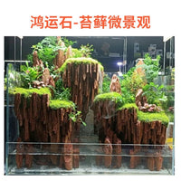 Lucky Stone Natural Raw Aquarium Decoration Micro Landscape Garden Rockery