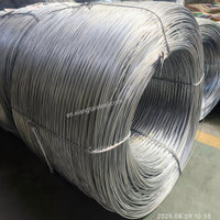 Galvanized Steel Binding Wire for Construction and Gardening