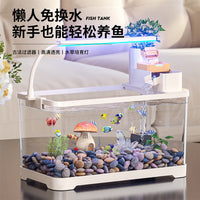 Desktop Ecological Oxygen-Generating Aquarium with Ancient Filtration System for Home Living Room
