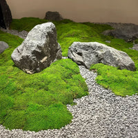 Artificial Moss Landscape Mat for Micro-Landscape and Potted Plant Decoration