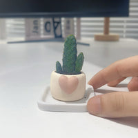 Heart-shaped Cartoon Succulent Planter Pots with Tray, Mini Creative Desktop Plant Pots