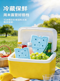 Reusable Ice Pack for Commercial Coolers & Food Warmers, No-Water-Injection Ice Brick for Portable AC Fans