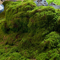 Artificial Moss Landscape Mat for Micro-Landscape and Potted Plant Decoration