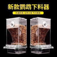 Automatic Bird Feeder with Spill-Proof Design and Seed-Hull Separation for Parrots