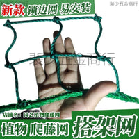 Garden Plant Climbing Net for Vines, Gourds, and Fruits - Heavy Duty Trellis Netting
