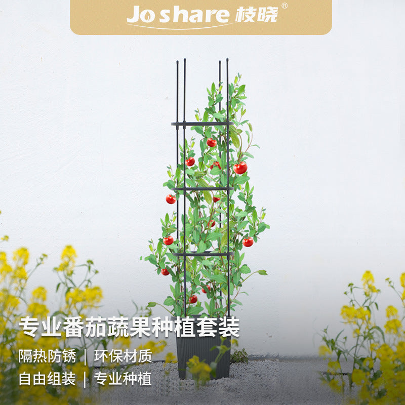 Tomato and Vegetable Plant Support Cage with Pot, Climbing Trellis for Garden Plants