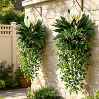 Artificial Mandevilla Potted Hanging Vine for Indoor Wall Decor