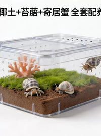 Hermit Crab Terrarium with Accessories - Transparent, Ventilated Habitat for Small Reptiles and Snails