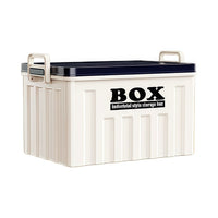 Portable Large Capacity Plastic Storage Box for Camping Car Trunk Organization