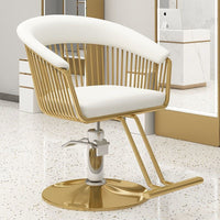 Luxury Vintage Barber Chair for Salon Hair Styling, Perming, and Dyeing