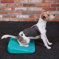 FitPAWS Ramp Inflatable Wedge for Dog Fitness Ball Muscle Weight Transfer Training