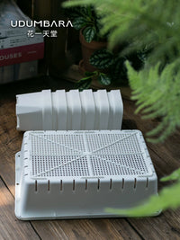 Thickened Square Plastic Succulent Planter with Tray or Lid for Seedling Cultivation