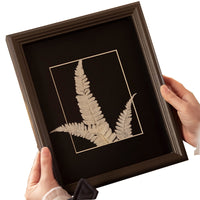 3D Deep Shadow Box Frame for DIY Paper Quilling, Pressed Flowers, Shells, Clay, and Dried Specimen Art