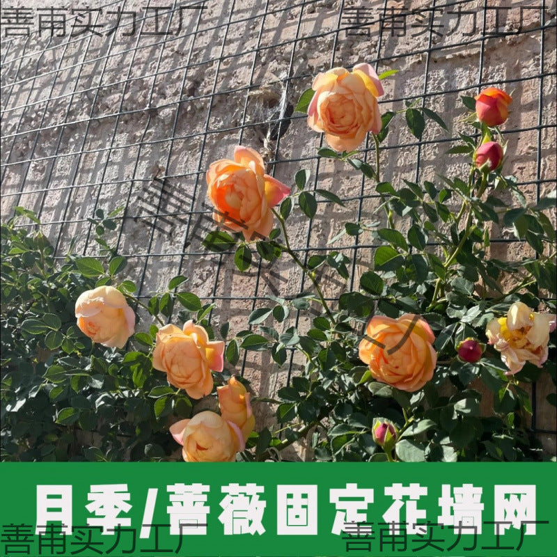 Garden Trellis Netting for Climbing Plants, Roses, and Vines - Wall-Mounted Support Mesh