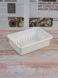 Thickened White Plastic Seedling Trays for Succulents and Lithops, Small Propagation Planters